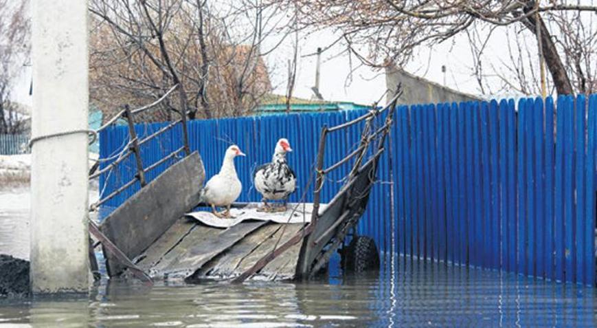 Rusya’da çanlar Orenburg için çalıyor
