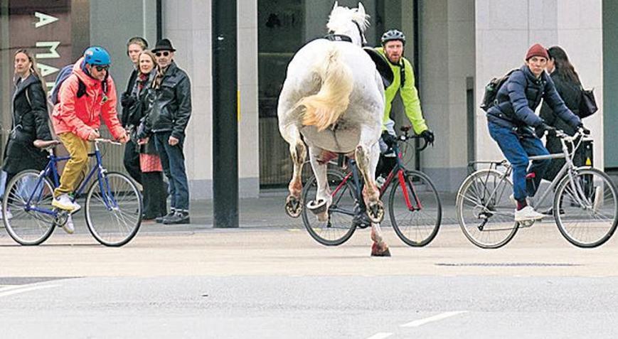 İki ingiliz atı firar etti... Londra sokaklarını birbirine kattılar