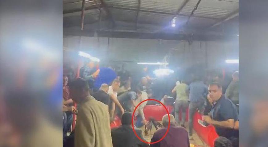 Şanlıurfada horoz dövüşüne suçüstü: 494 bin 725 TL ceza