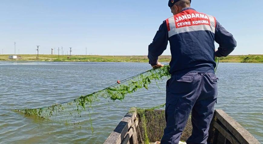Edirne’de jandarma gölete atılan kaçak ağları topladı