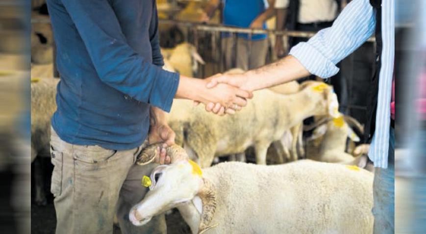 Vekaletle kesim için yurt içi hisse 11.750 TL