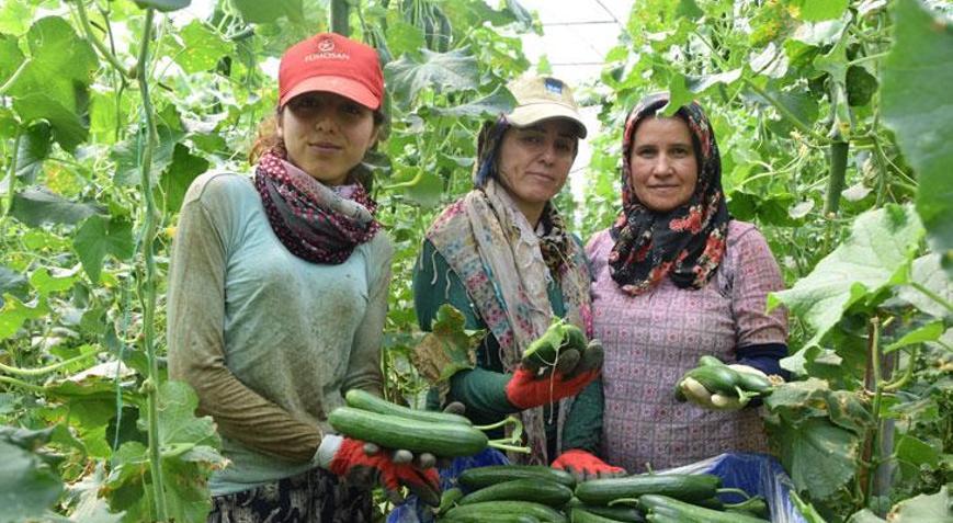 Kadın çiftçiler üretmeye devam ediyor