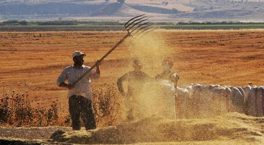 Tarım-ÜFE Nisan’da arttı