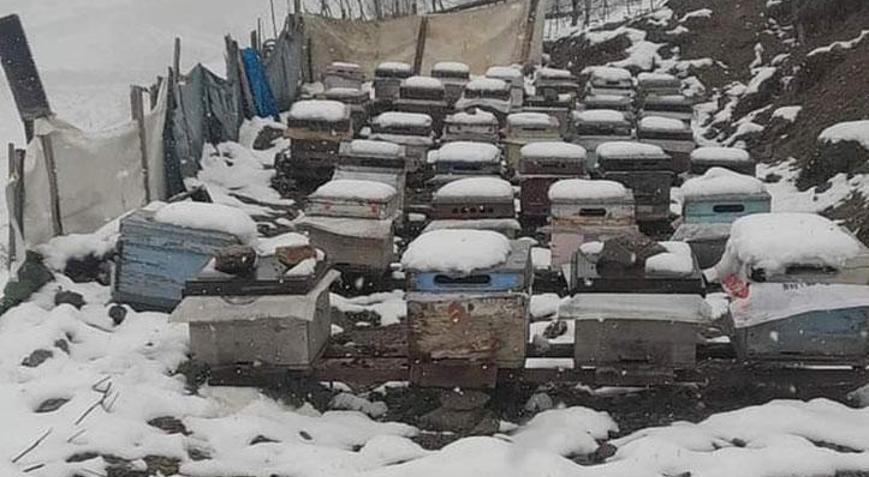 Mayıs karı Anzer Balının üretimine yarayacak