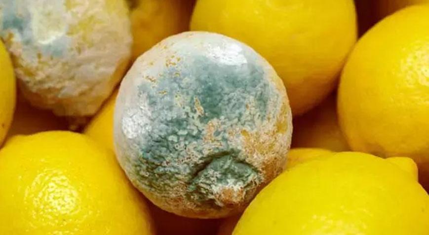 Limon aylarca küflenmiyor ve çürümüyor Limonları taş gibi tutan yöntem