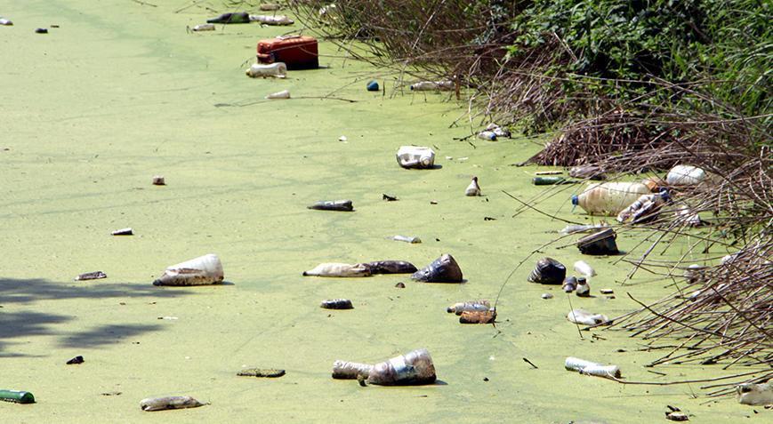 Bayır Deresi, kirlilikten yeşile büründü Milyonlarca sivrisinek ve koku var