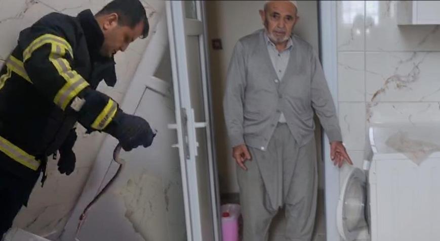 Evde yılan kabusu Çamaşır makinesinden çıkarıldı