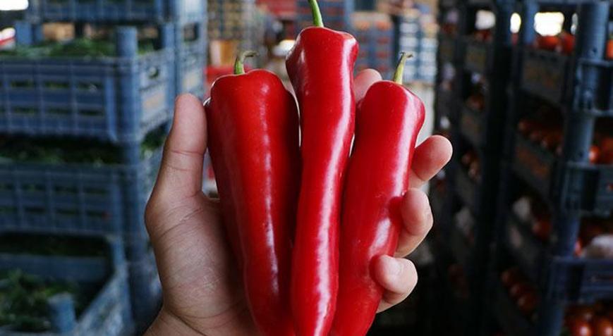 Tarlada kilosu 15, markette 80 lira