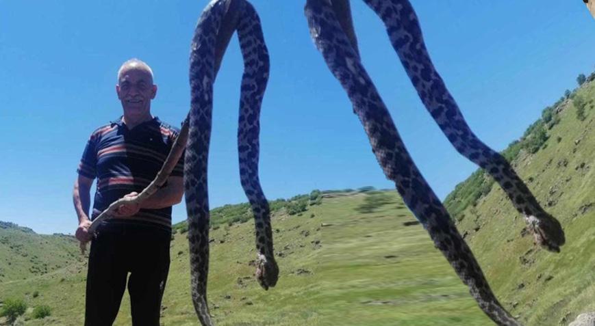 Yer: Elazığ Yılanın kalınlığı ve uzunluğu tedirgin etti