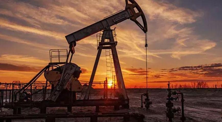 API petrol stokları arttı