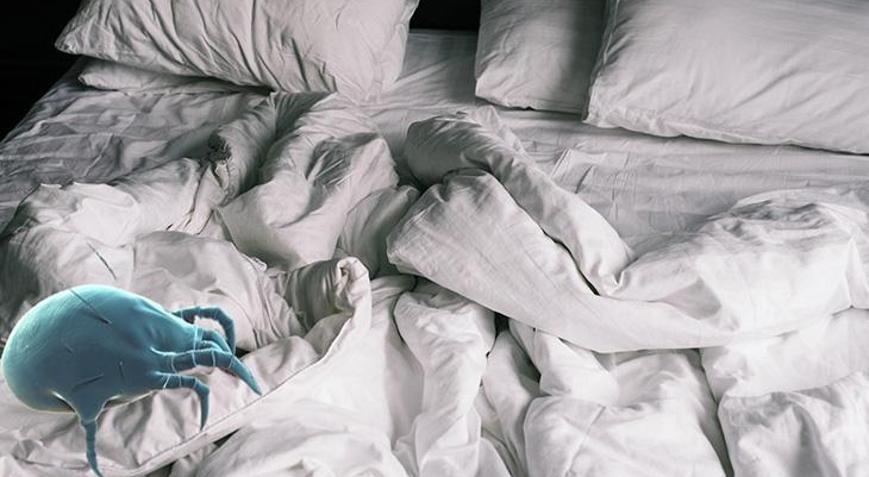 Yatak ve yastıklar üreme noktaları Kaşıntıyla beraber uykudan uyandırıyorlar