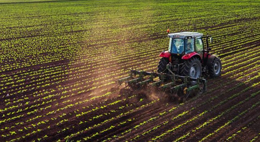 Tarım-ÜFE Mayıs’ta artış gösterdi