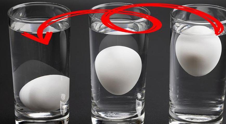 Bayat yumurta nasıl anlaşılır Su testi ile anında belli oluyor