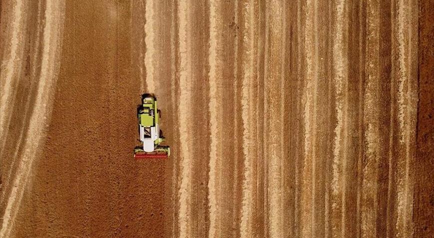 Tarım ÜFE haziranda artış gösterdi