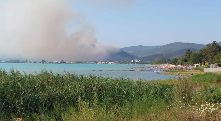 Bursada orman yangını kontrol altına alındı
