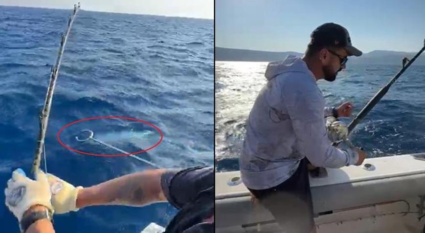 İzmirde peşine düştü: Hayatımın en büyük avlarından biri oldu