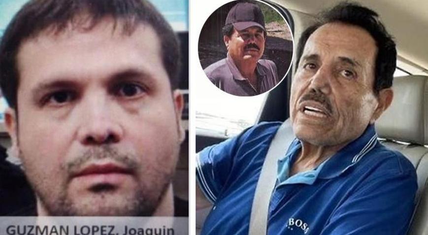 El Chaponun oğlu ve El Mayonun yakalanmasının ardından Meksikada alarm