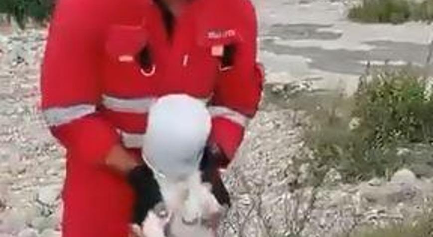 Hatay’da kafasını kovaya sıkıştıran köpeği itfaiye kurtardı