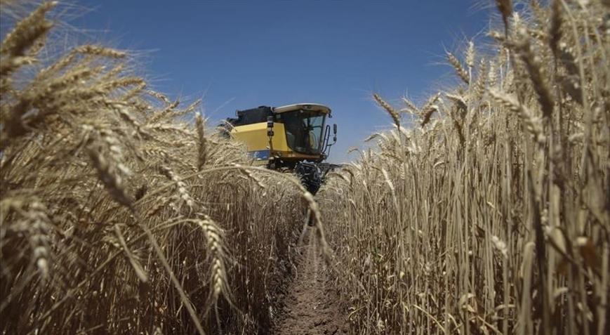 Tarım ÜFE temmuzda azaldı
