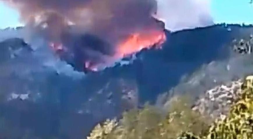 Karabük’te orman yangını