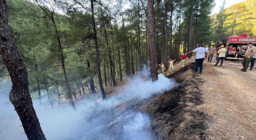 Bursada çıkan orman yangını söndürüldü
