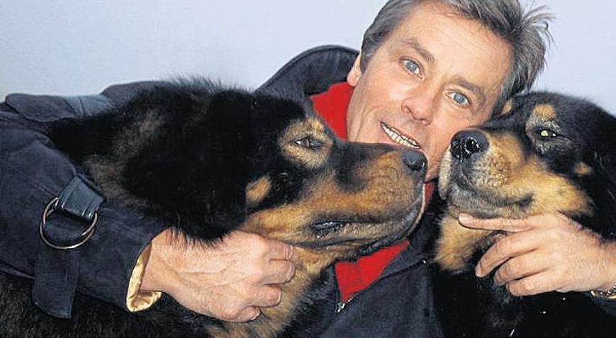 Alain Delonun son arzusu hiçe mi sayılacak