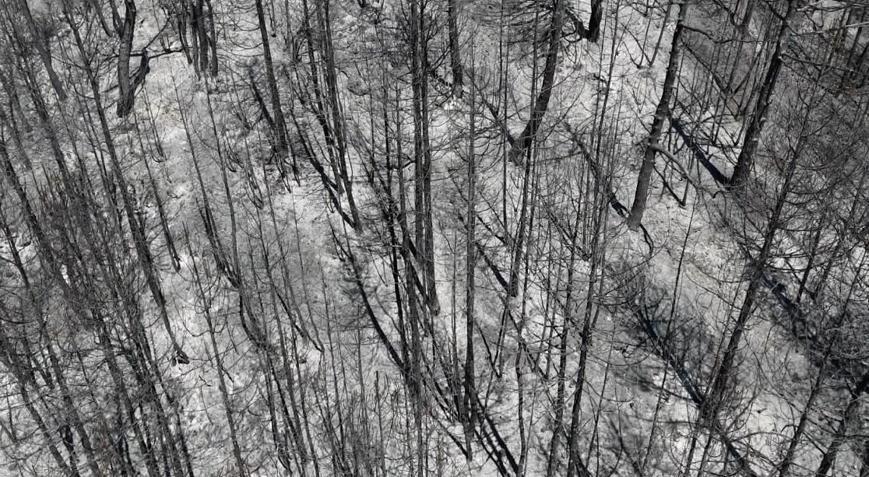 Karabükte orman yangının tahribatı havadan görüntülendi