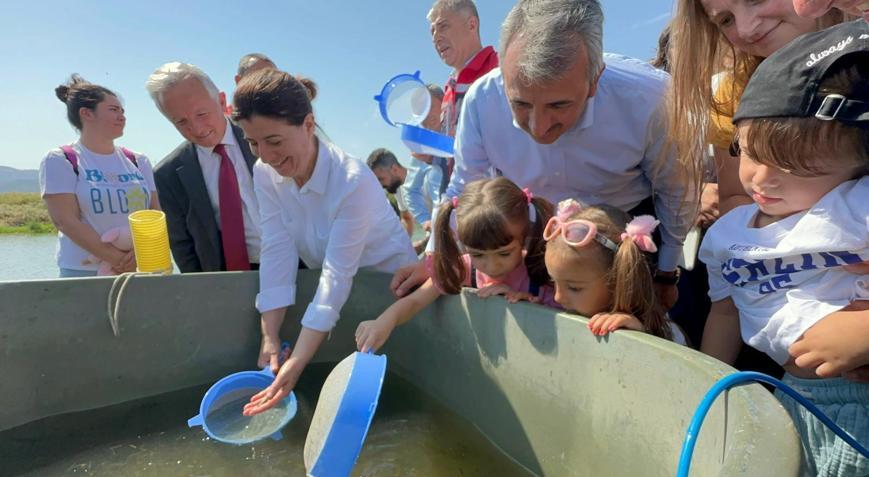 Edirnede bu yıl 10 milyon yavru sazan üretilip, iç sulara bırakıldı