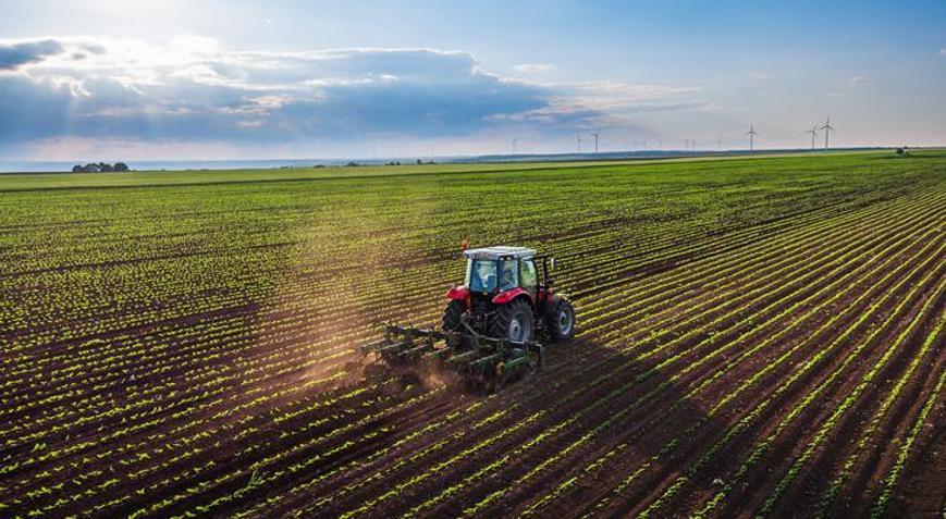 Tarım enflasyonu aylıkta düştü