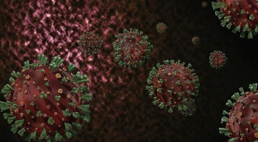 Avrupada M çiçeği alarmı: Risk düşük ancak ithal vakalar artabilir