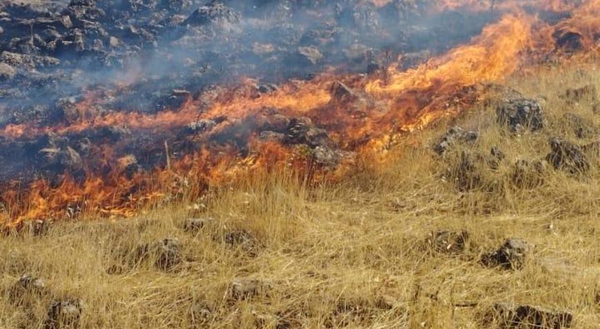 Mardin’de örtü yangını söndürüldü