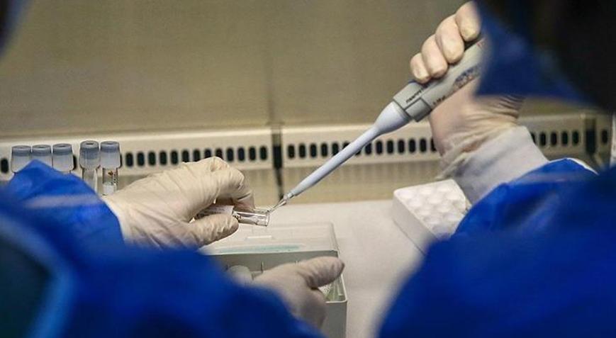 ABD gönderdi Nijerya 10 bin doz M çiçeği aşısını teslim aldı