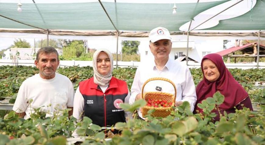 Tamamı topraksız üretiliyor Tonlarca ürün elde etti