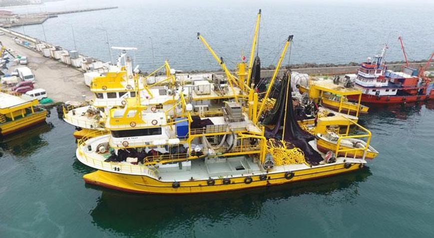 “Bu sene 50 kat daha palamut var