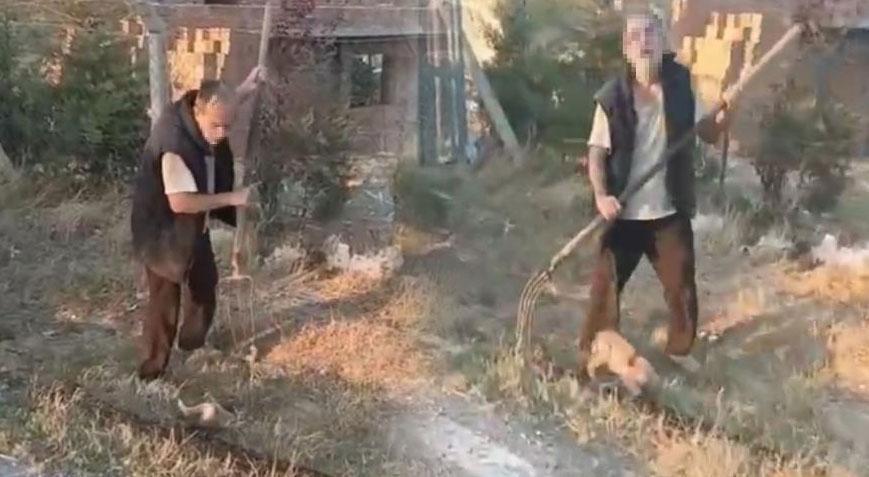 Ankarada vahşet Dirgenle yavru köpeği katleden cani ile ilgili flaş gelişme