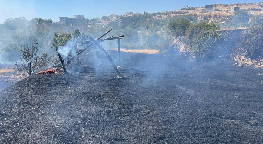 Mardin’de örtü yangını;  50 dönüm alan zarar gördü