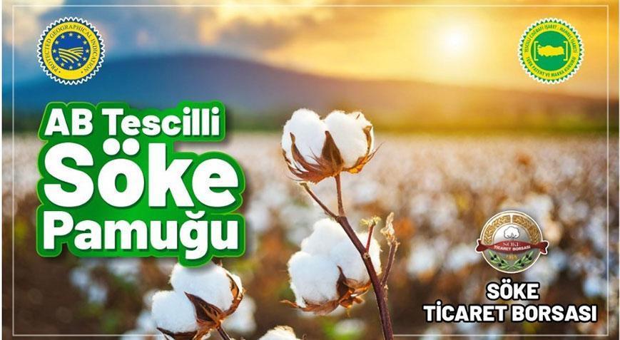 Söke Pamuğu resmen tescillendi