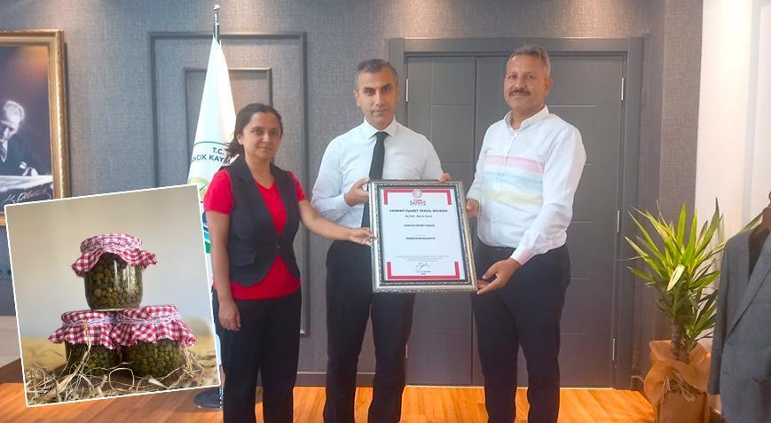 Osmancık Kapari turşusu coğrafi işaret aldı