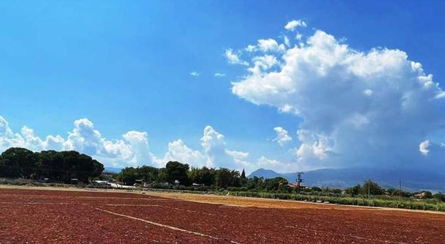Manisadaki sağanak yağmur üzüm hasadına zarar verdi