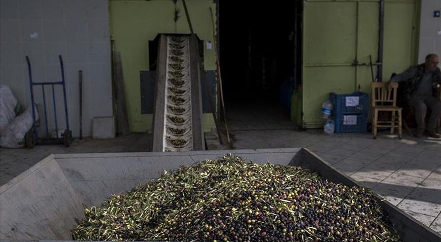 Dökme ve varilli zeytinyağı ihracatına uygulanan fon kesintisi kaldırıldı