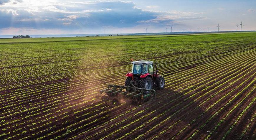 Tarım-ÜFE artış gösterdi