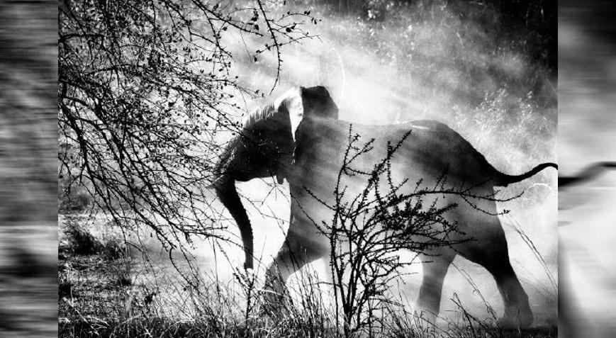 Heyecan verici bir keşif rotası