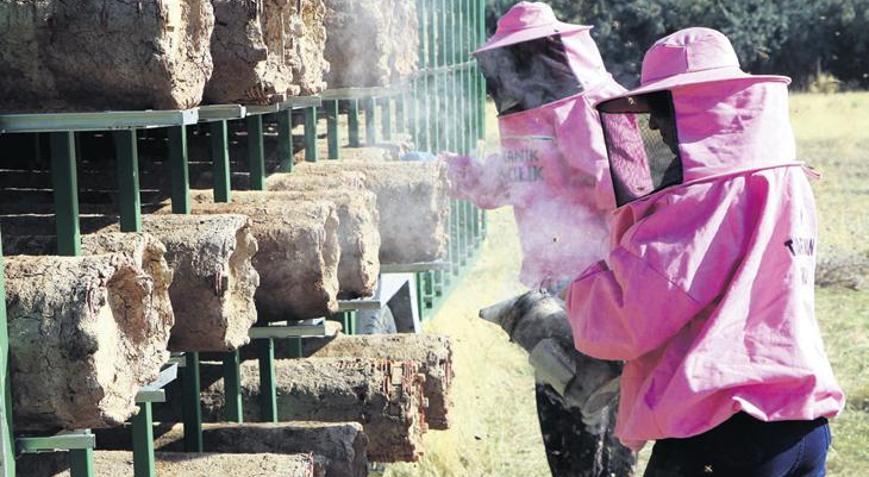 ‘Pembe maskeli kadınlar’ın bal hasadı