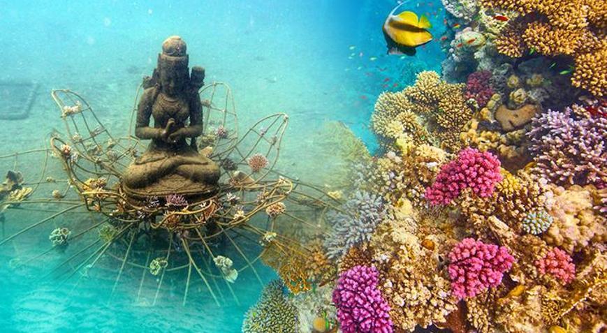 Okyanusa atılan betondan Budanın görevi ne Yok oluşa 100 yıldan az kaldı