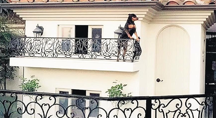 Parayı nereye dökeceklerini şaşırdılar