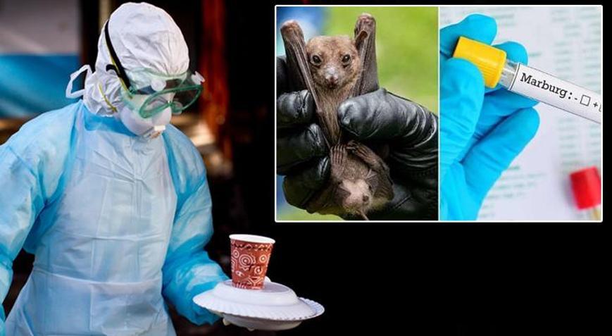 Sessiz tehdit, yayılma riski yüksek