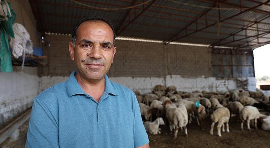 Mavi dil hastalığı 20 yıl sonra ilk kez görüldü Mahalle karantinaya alındı