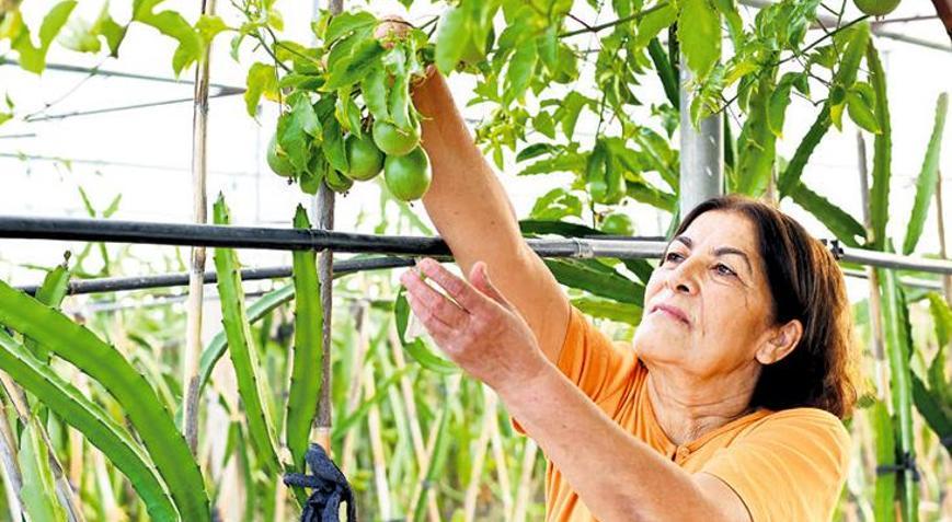 Kadın çiftçiyi destekleyecek