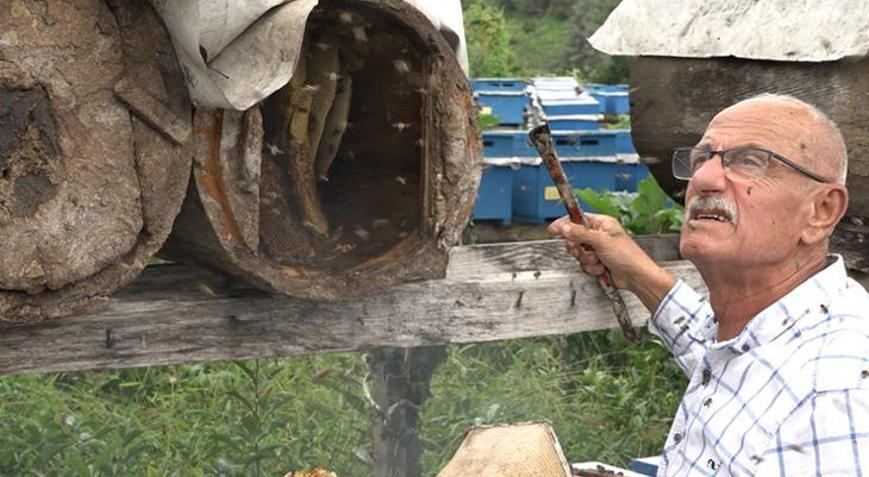 Rizede hasadı tamamlandı Kilosu 2 bin 500 lira