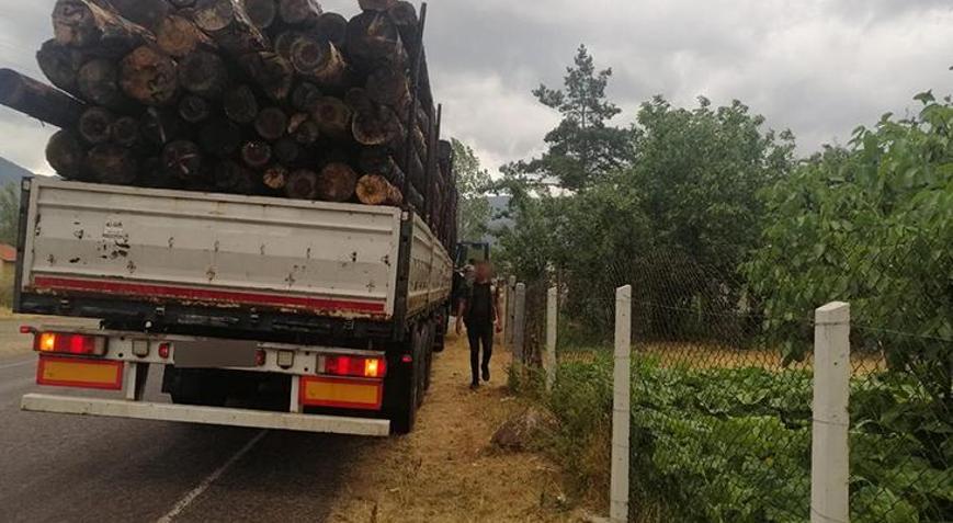 Ormanda bin ağaç kesildi iddiası Çifte soruşturma başlatıldı